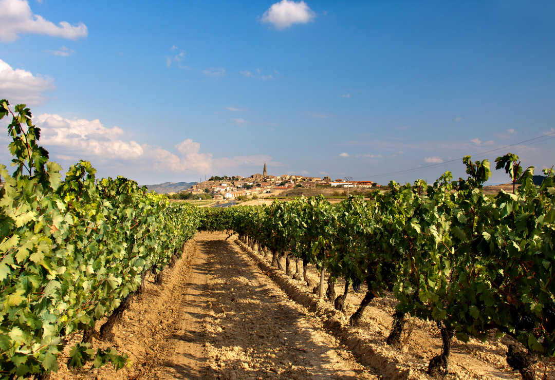 Exploring the Rich Tapestry of European Wines: France, Italy, and Spain